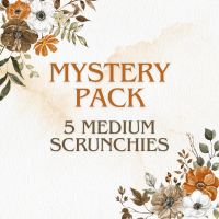 Mystery Pack 5 Medium Scrunchies